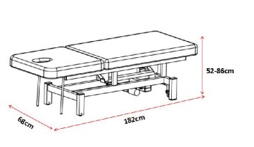 C301