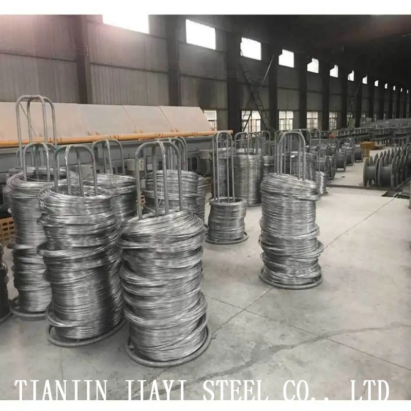 Stainless Steel Wire