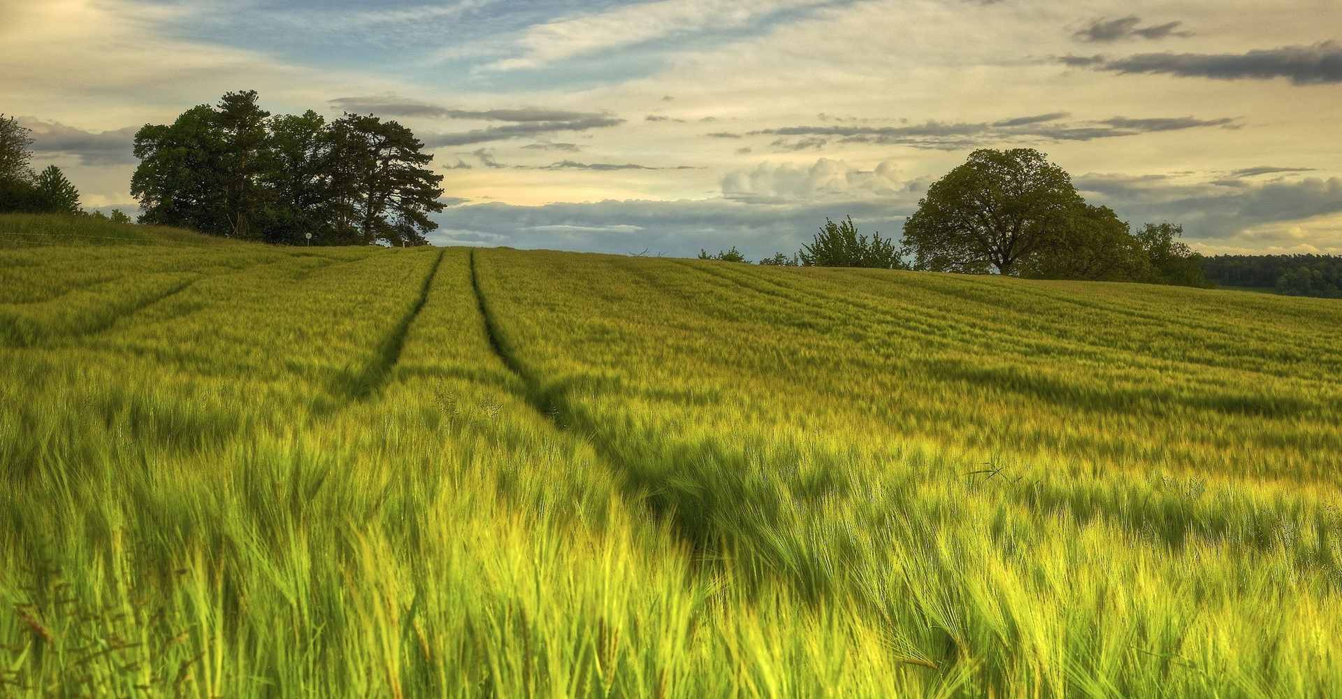 We hope to work closely with strategic and competitive partner so to win-win.