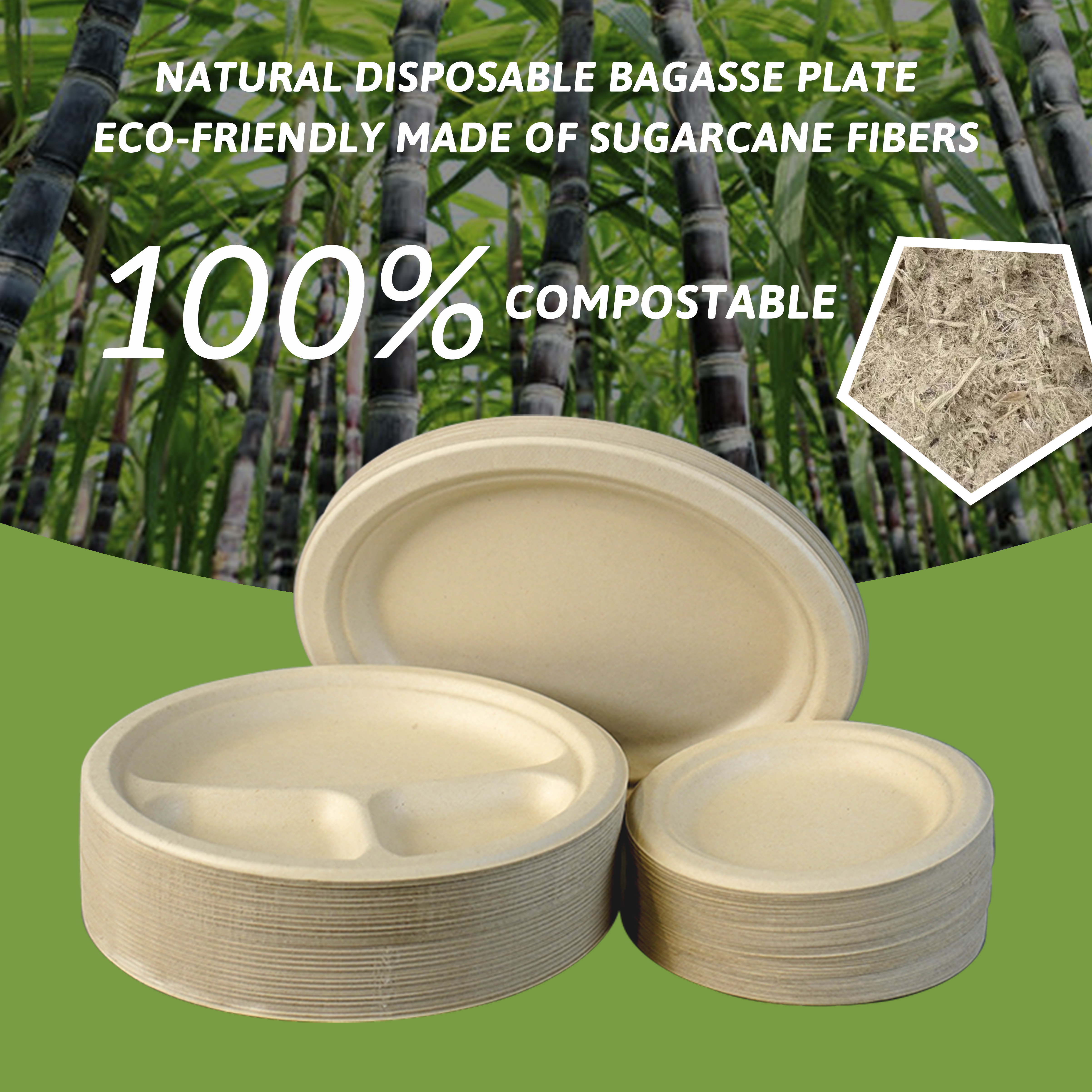 Do you really know about biodegradable bagasse tableware?