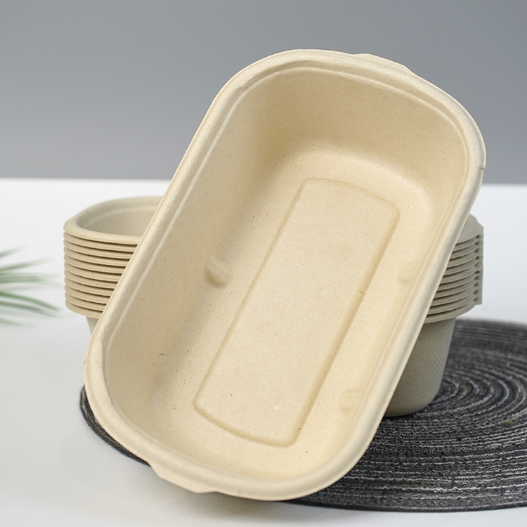 salad box single compartment