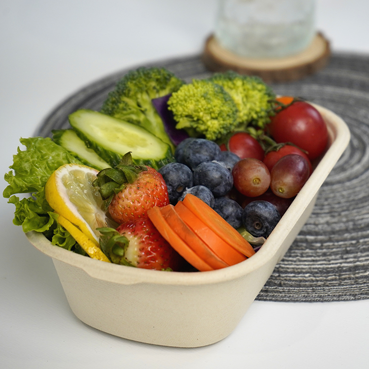 salad box single compartment