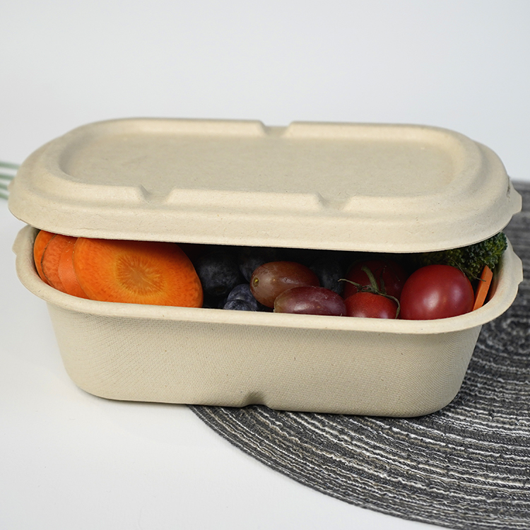 salad box single compartment