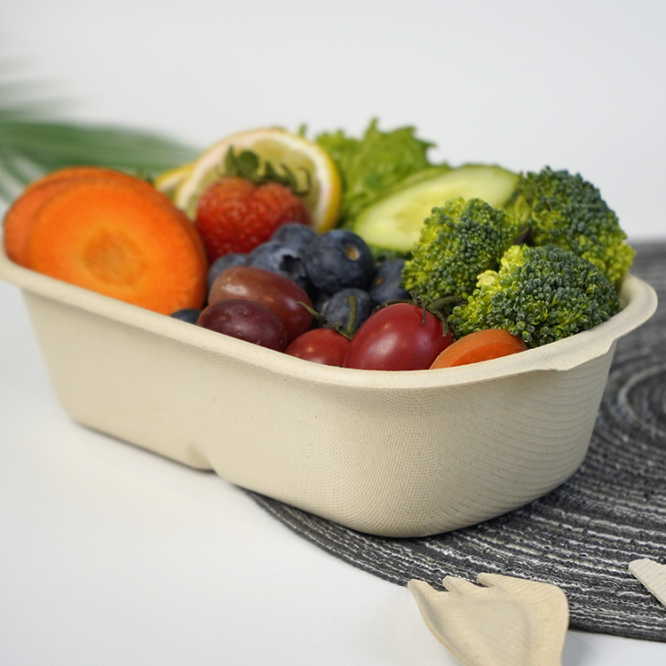 salad box single compartment