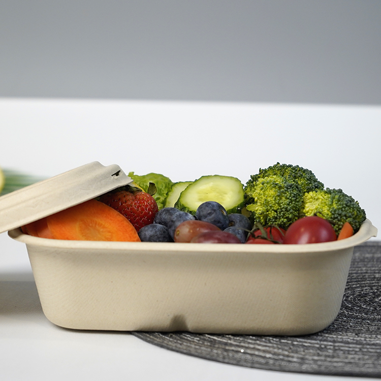 salad box single compartment