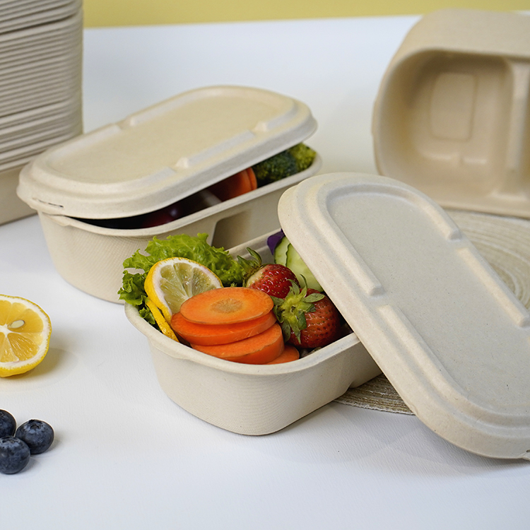 salad box single compartment