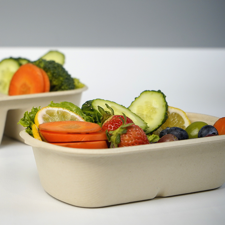 salad box single compartment