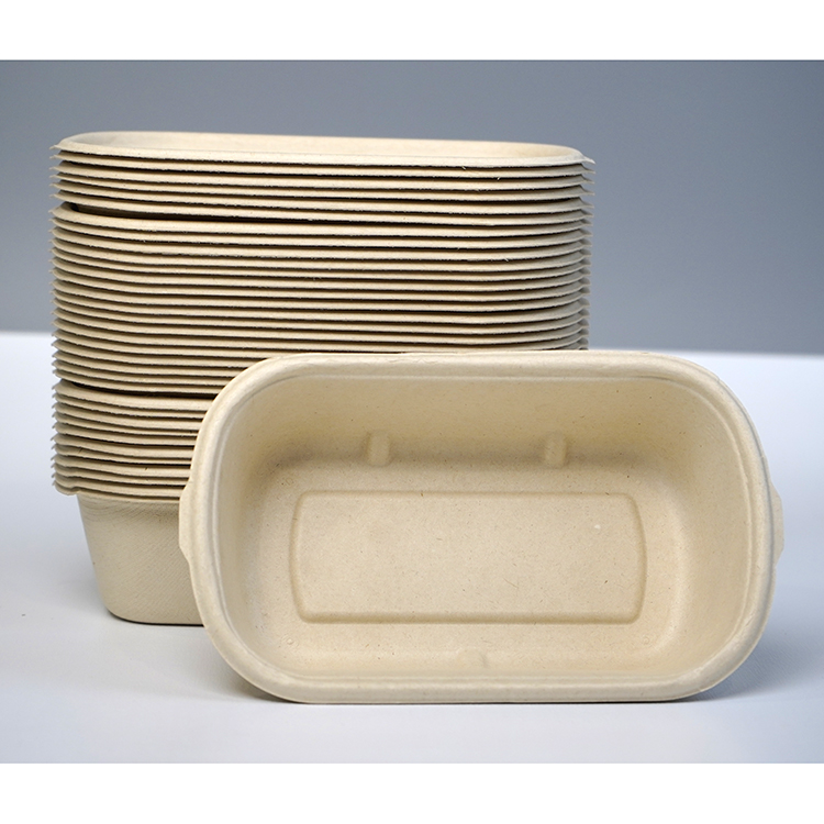 salad box single compartment