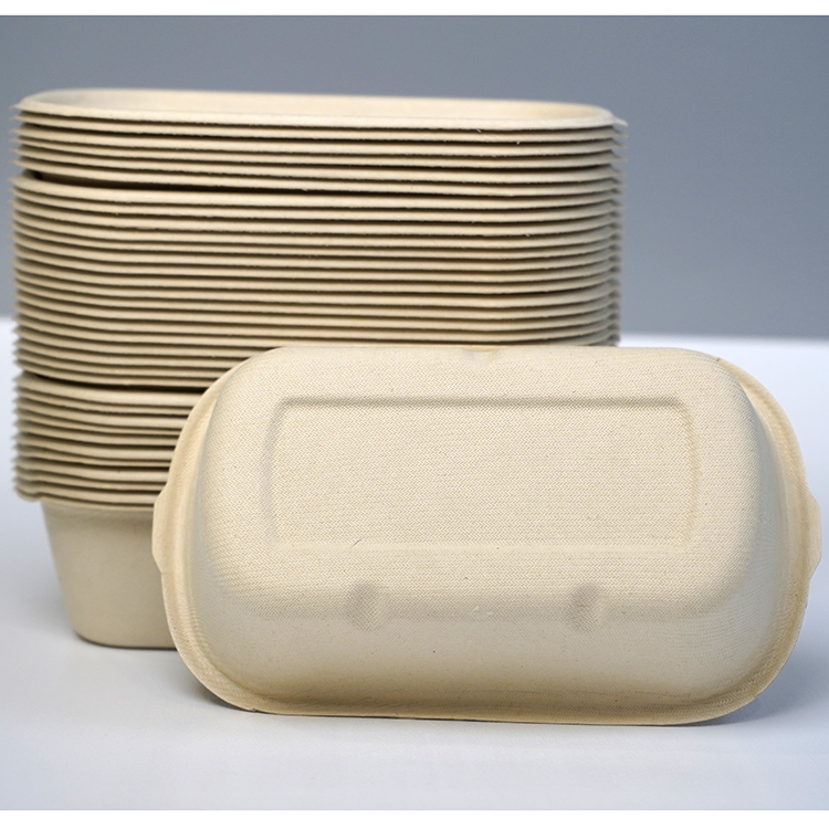 salad box single compartment