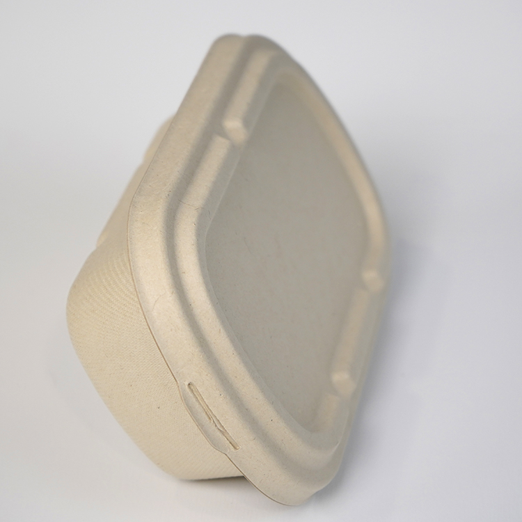 salad box single compartment