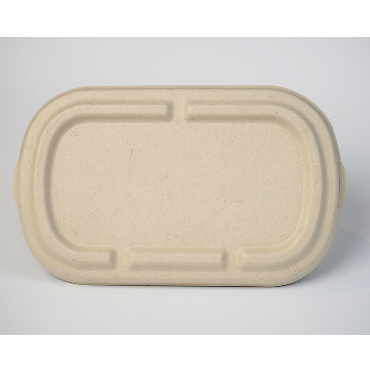 salad box single compartment