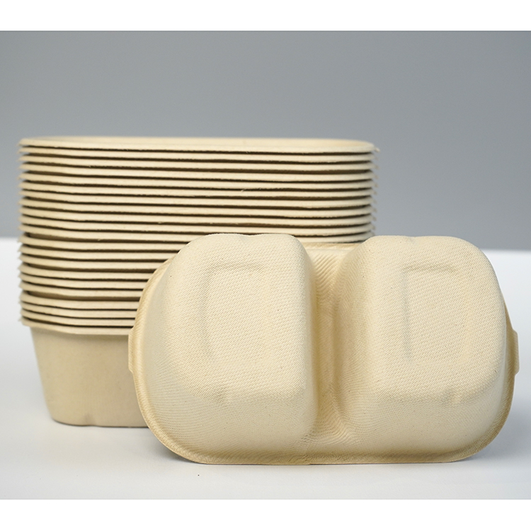 double compartment salad box