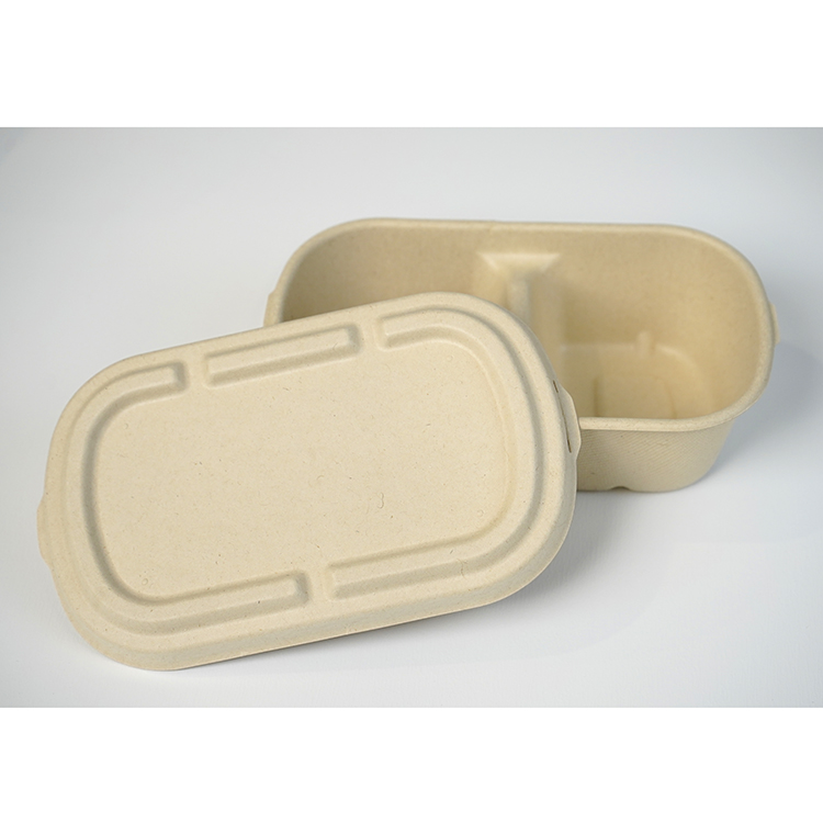 double compartment salad box