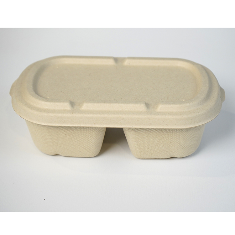double compartment salad box
