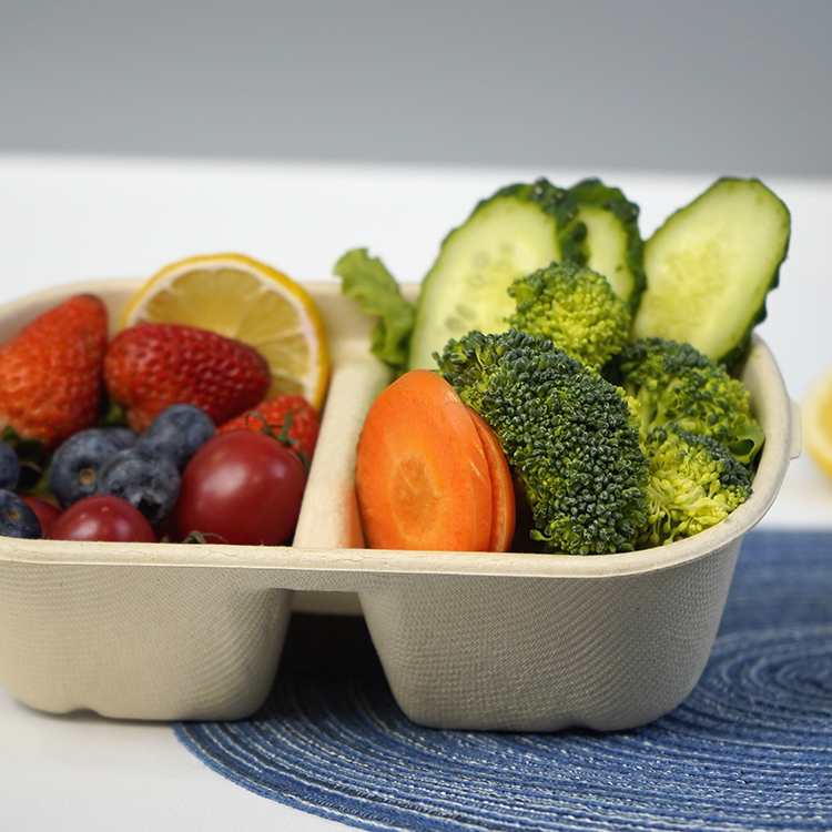 double compartment salad box