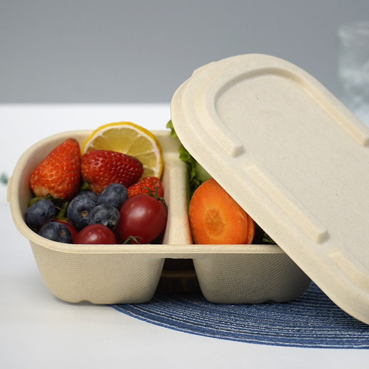 double compartment salad box