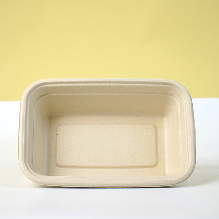Single compartment lunch box