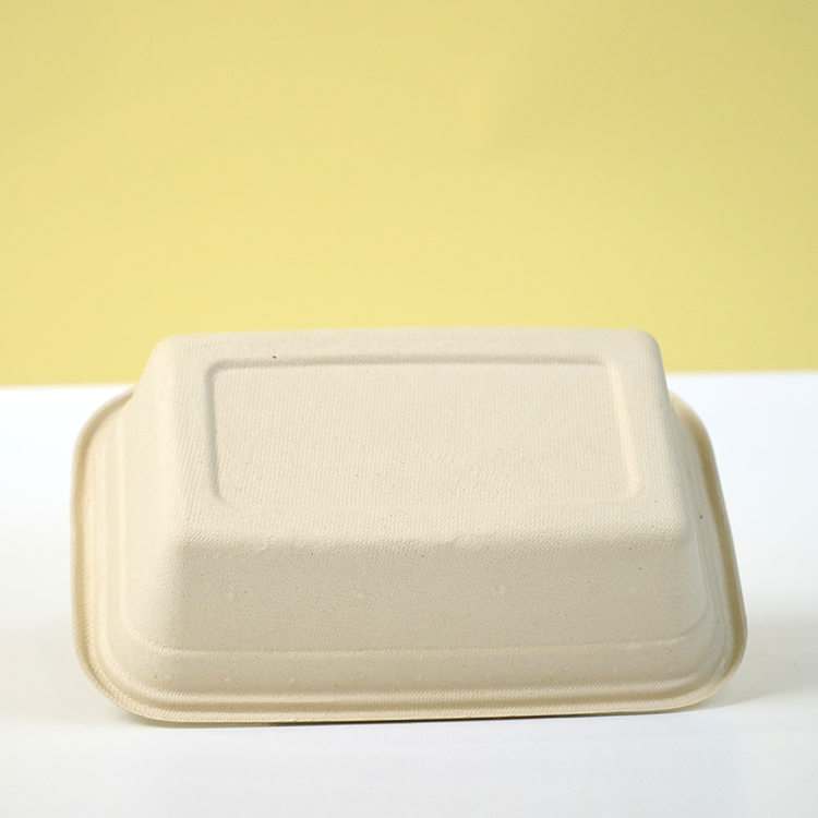 Single compartment lunch box