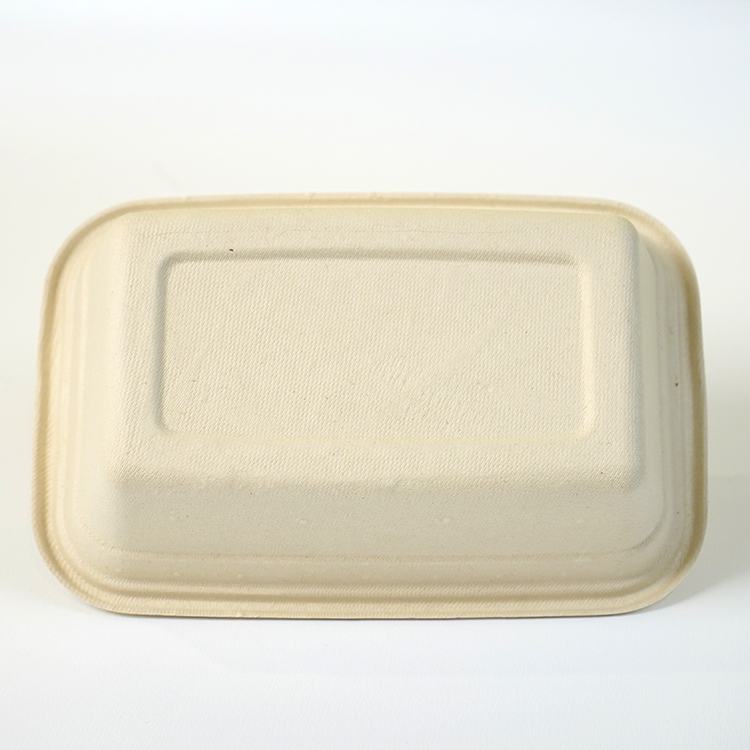 Single compartment lunch box