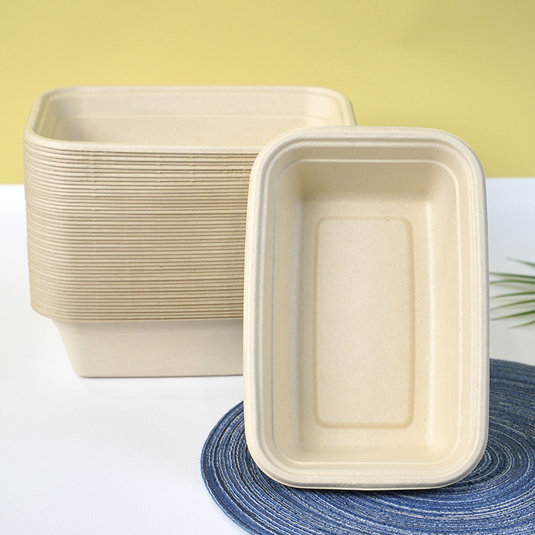 Single compartment lunch box