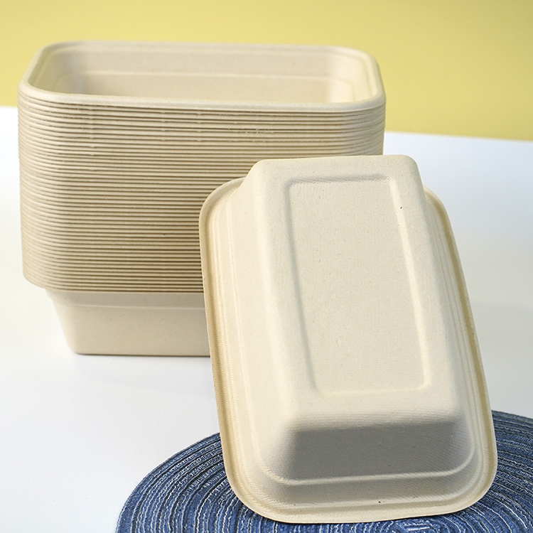 Single compartment lunch box