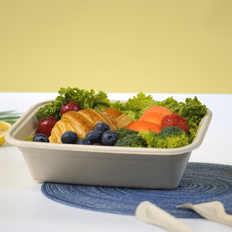 Single compartment lunch box