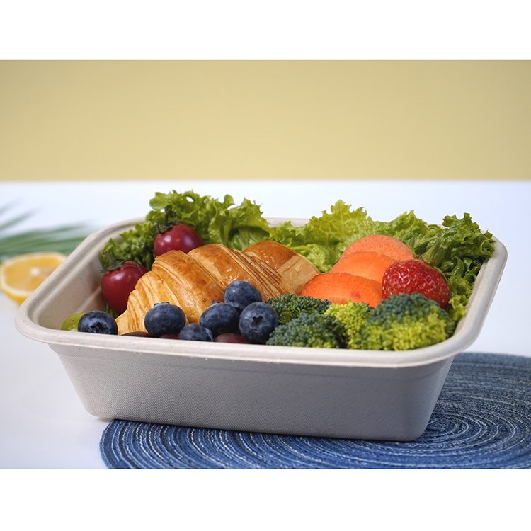Single compartment lunch box
