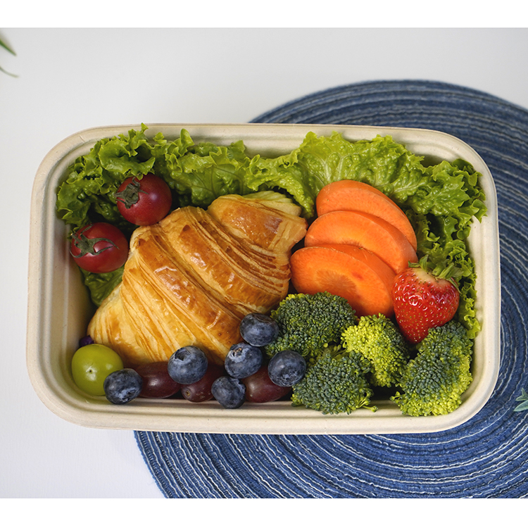 Single compartment lunch box