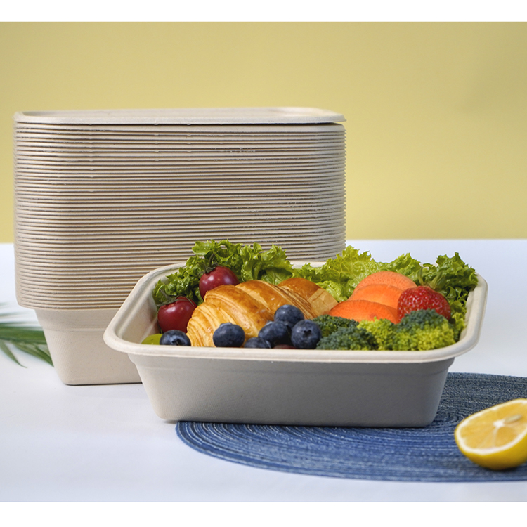 Single compartment lunch box