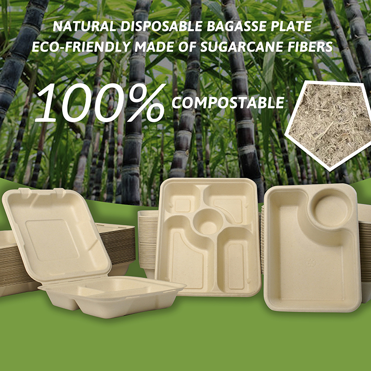 Comparison of disposable tableware made of different materials