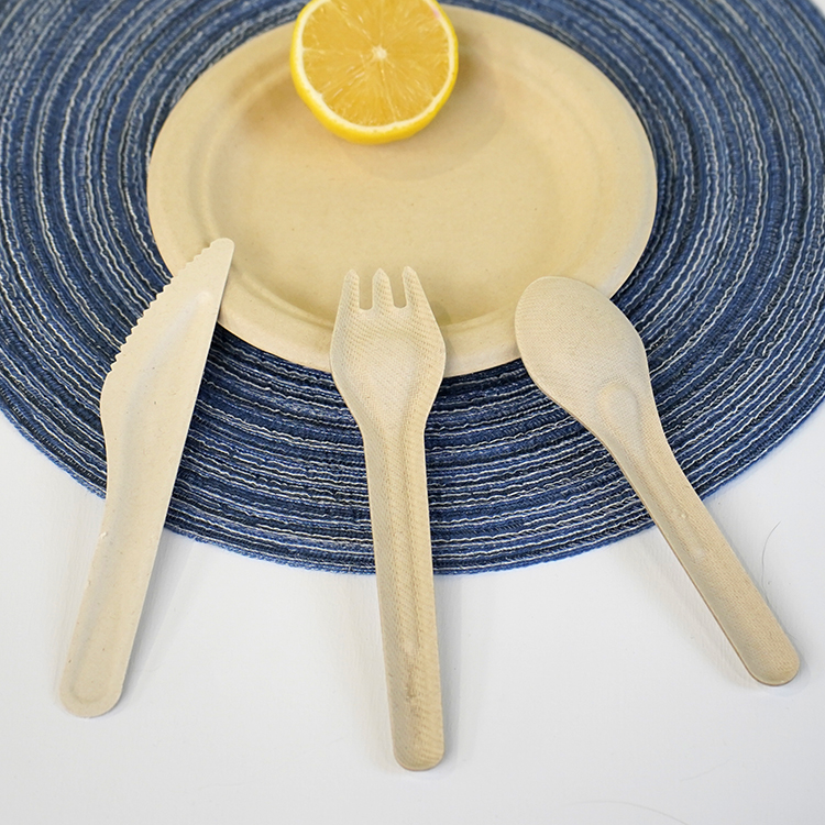 Knife, fork and spoon