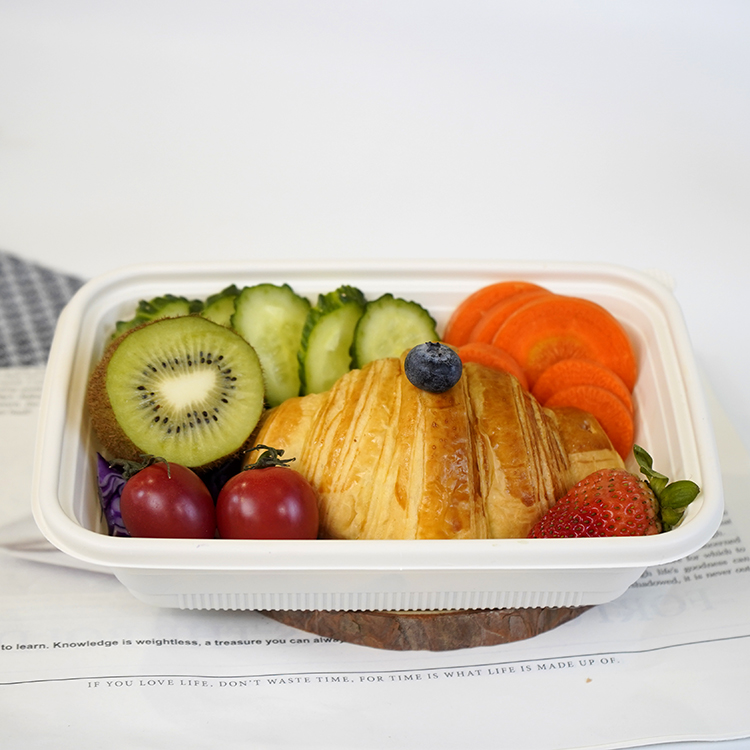 Square lunch box single compartment