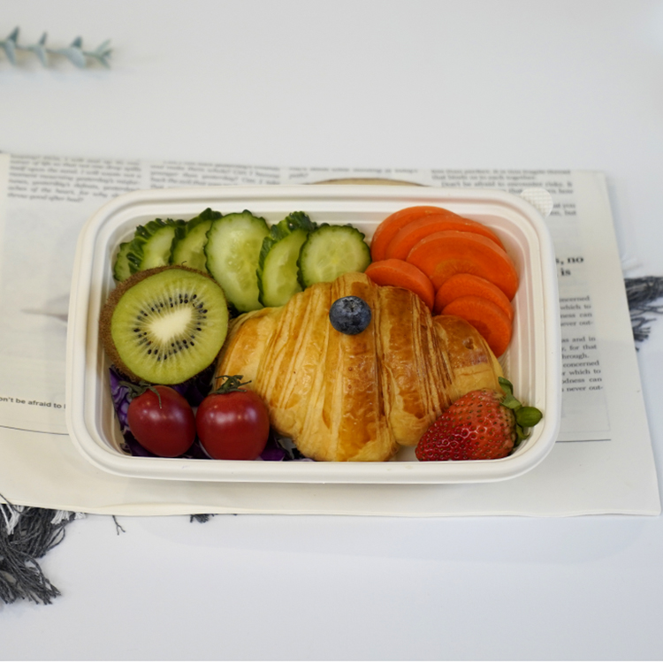 Square lunch box single compartment