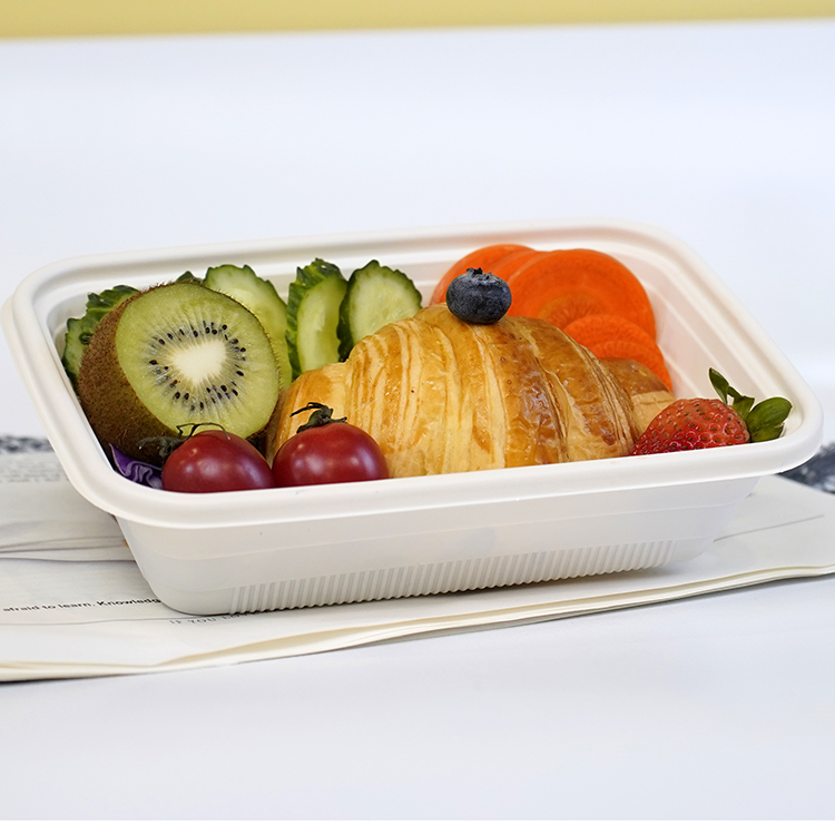 Square lunch box single compartment