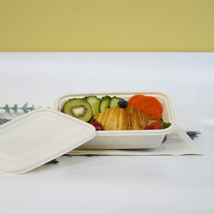 Square lunch box single compartment