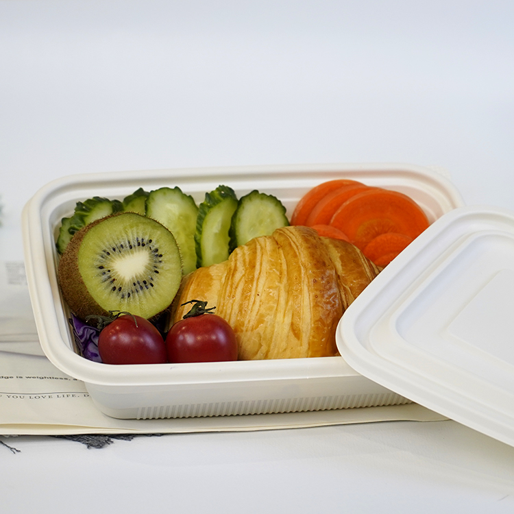 Square lunch box single compartment