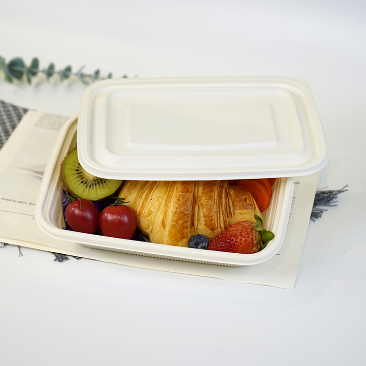 Square lunch box single compartment