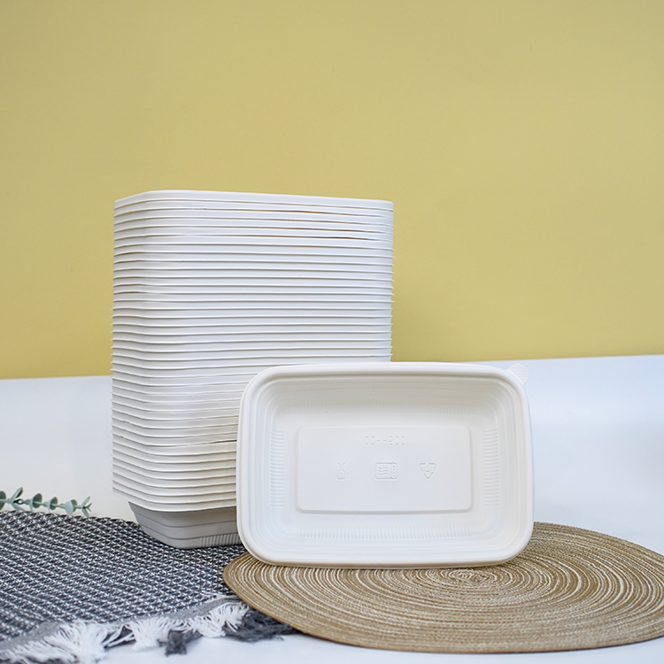 Square lunch box single compartment