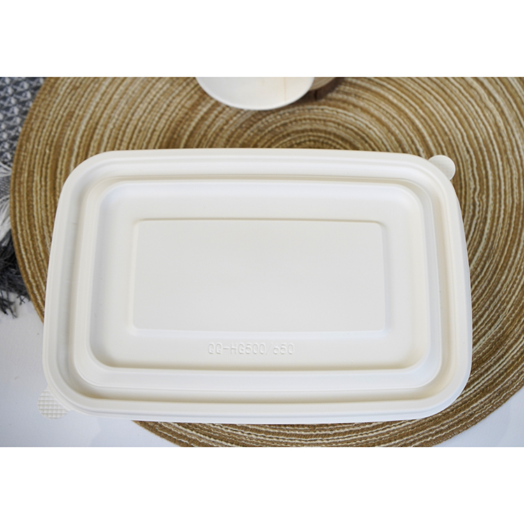 Square lunch box single compartment