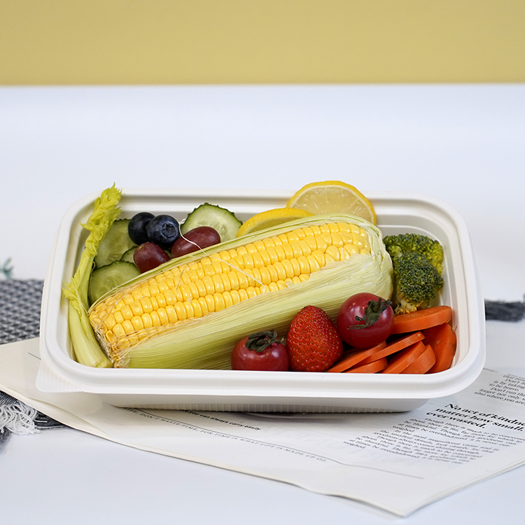 Square lunch box single compartment