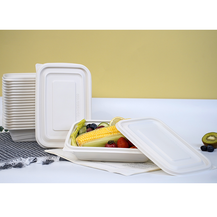 Square lunch box single compartment