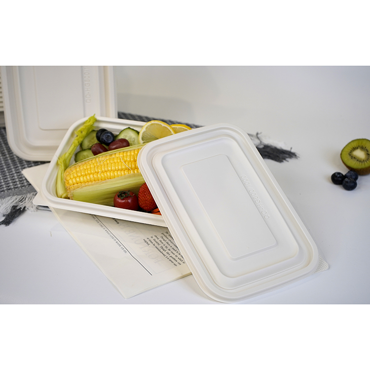 Square lunch box single compartment