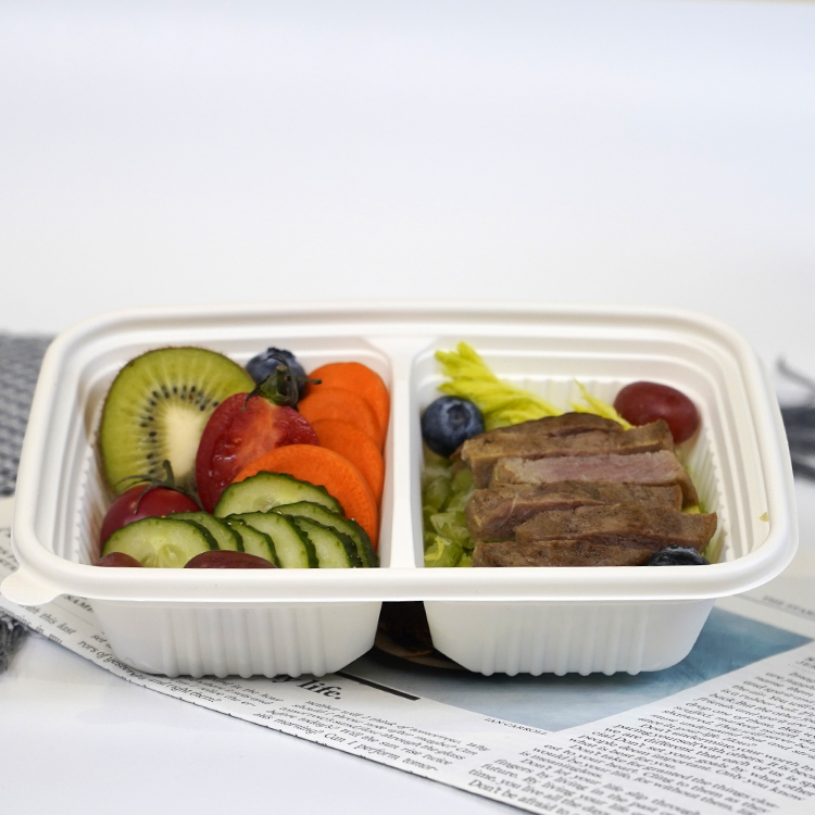 Square lunch box with double compartments