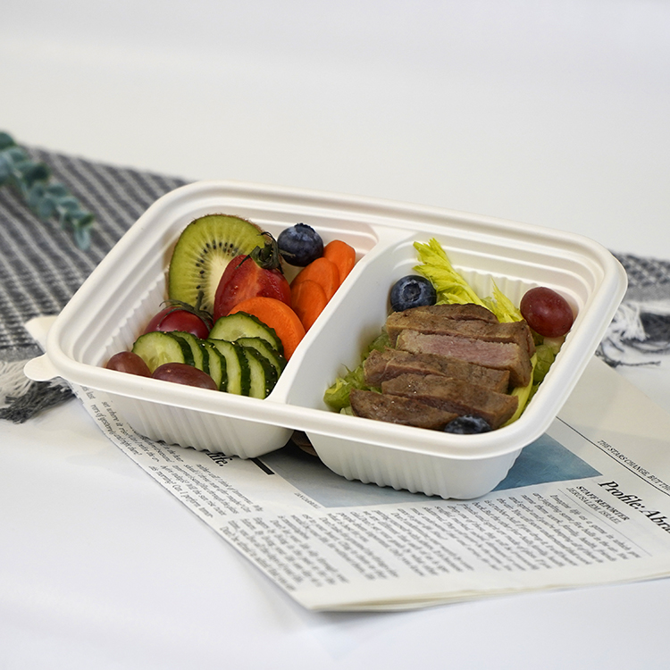 Square lunch box with double compartments