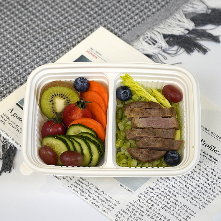 Square lunch box with double compartments