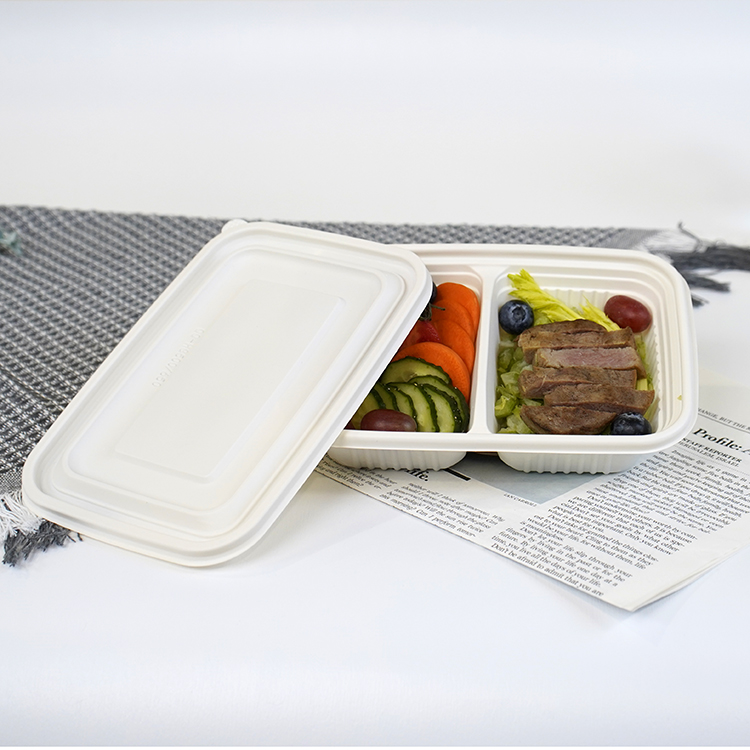 Square lunch box with double compartments
