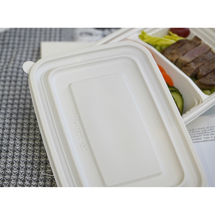 Square lunch box with double compartments