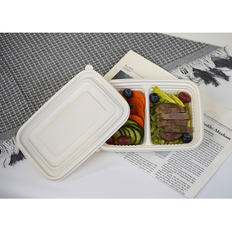 Square lunch box with double compartments