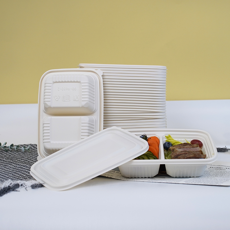 Square lunch box with double compartments