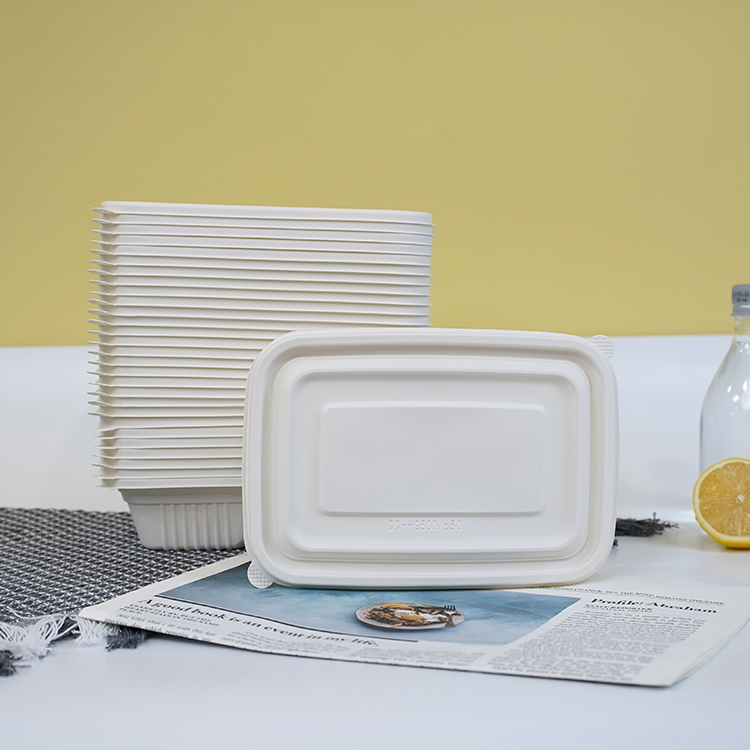 Square lunch box with double compartments